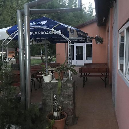 Vila Tanamera Ξενοδοχείο Moneasa Εξωτερικό φωτογραφία