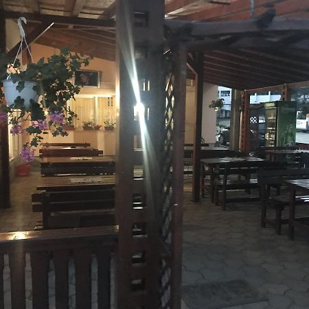 Vila Tanamera Ξενοδοχείο Moneasa Εξωτερικό φωτογραφία
