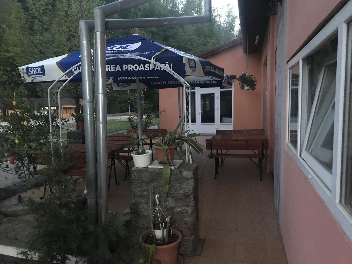 Vila Tanamera Ξενοδοχείο Moneasa Εξωτερικό φωτογραφία