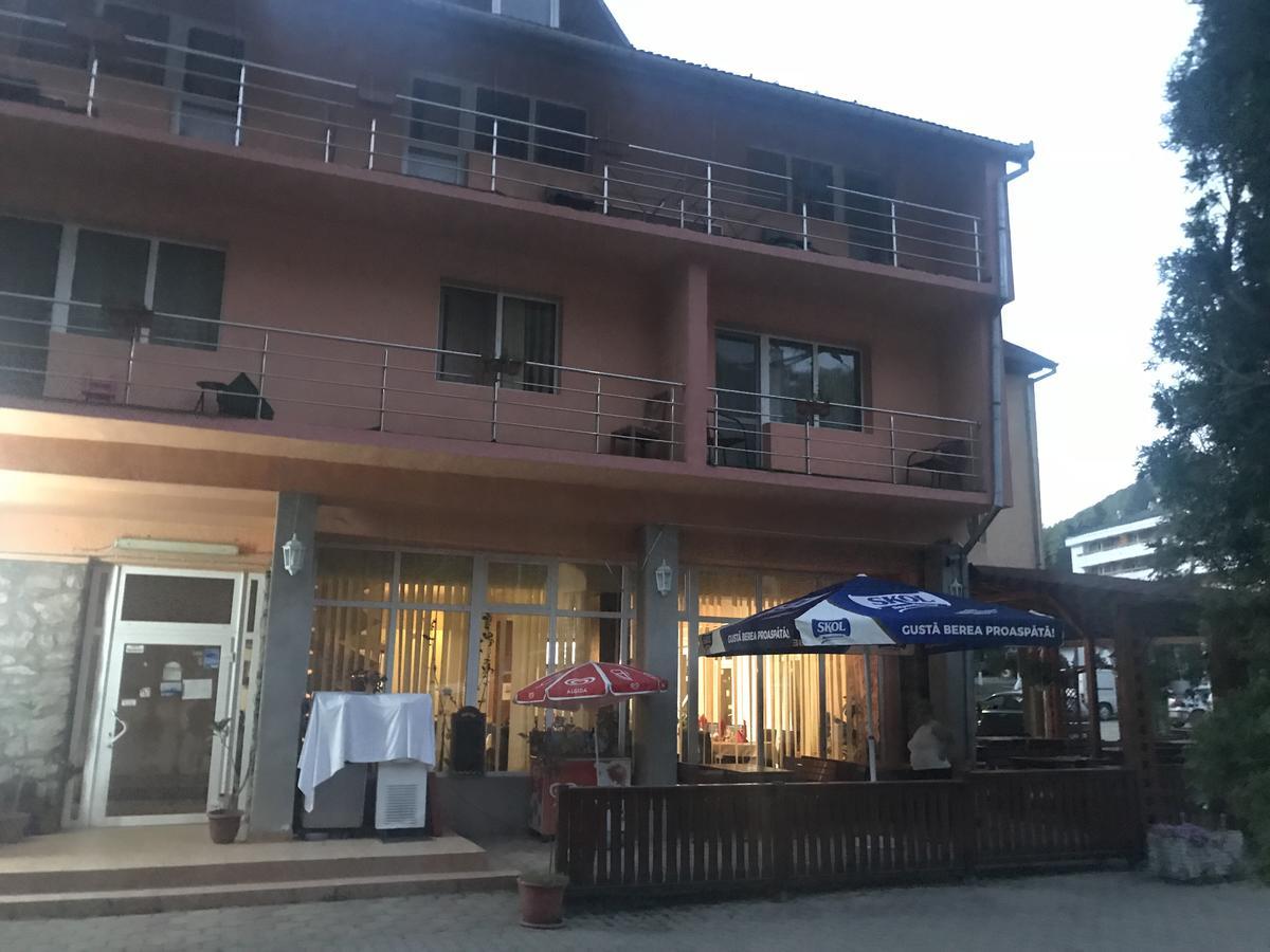 Vila Tanamera Ξενοδοχείο Moneasa Εξωτερικό φωτογραφία