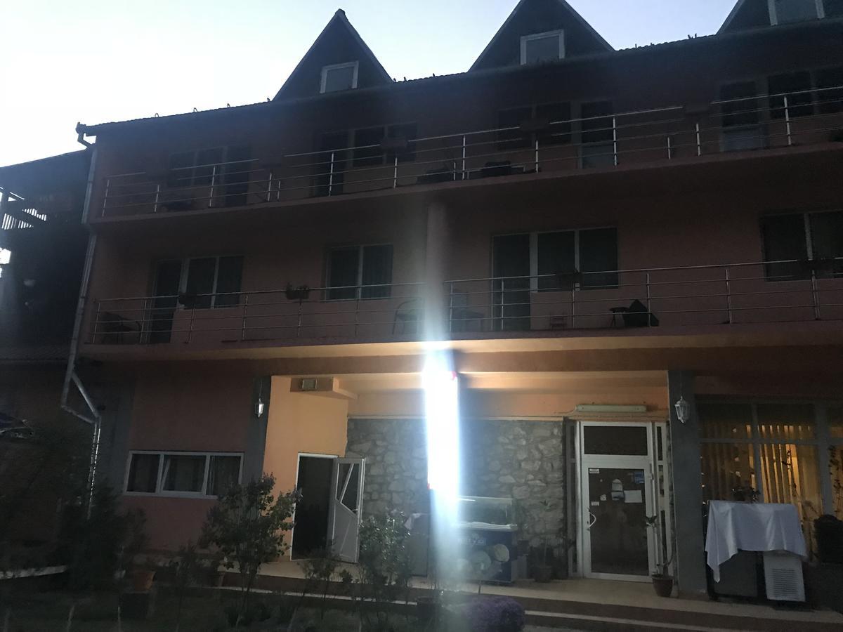 Vila Tanamera Ξενοδοχείο Moneasa Εξωτερικό φωτογραφία